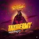 Cover art for Taxidermy by MoeinGeo