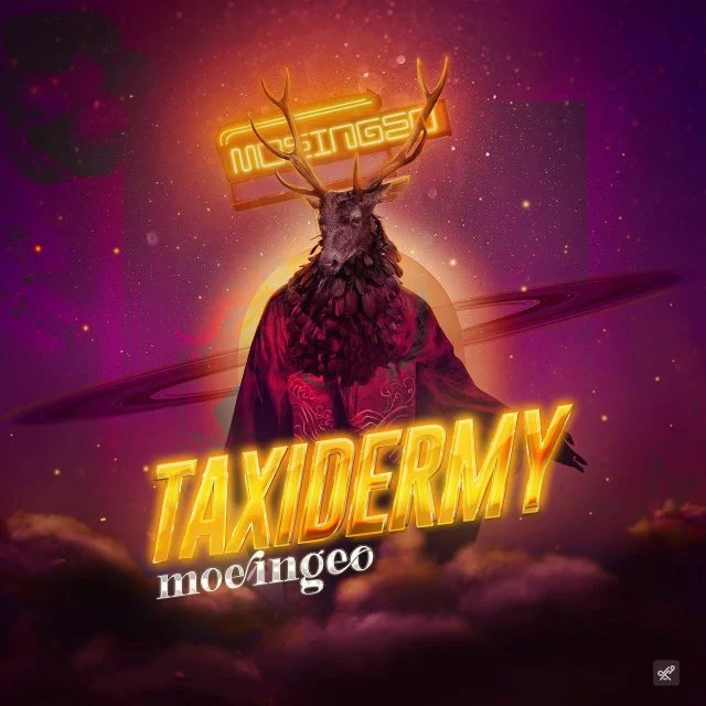 Cover art for Taxidermy by MoeinGeo